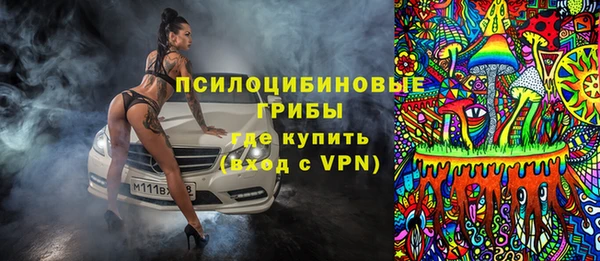 дживик Козловка