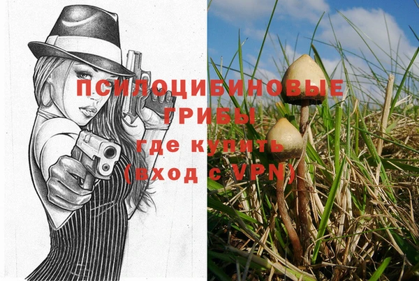 метадон Козельск