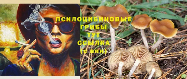 метадон Козельск