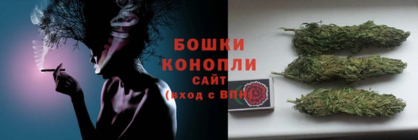 дживик Козловка