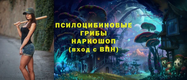 дживик Козловка