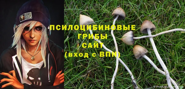 кокс Кодинск