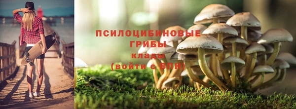метадон Козельск